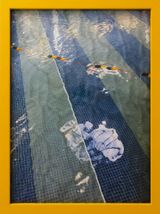Programmes Pool by Erica Van Zon contemporary artwork print