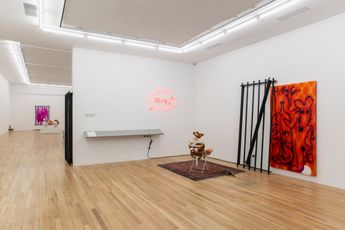 Contemporary art exhibition Hadi Fallahpisheh BLOW-UPS at Andrew Kreps Gallery 22 Cortlandt Alley United States