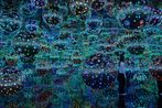 Yayoi Kusama contemporary artist