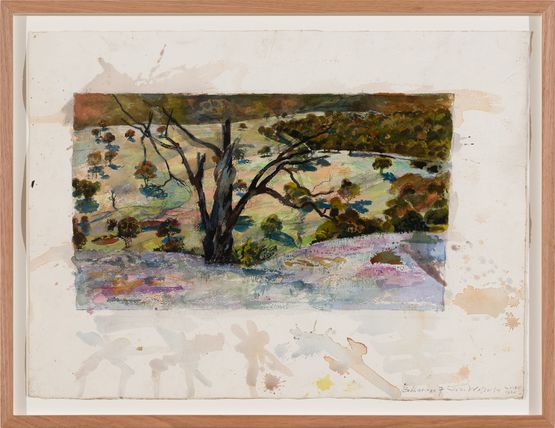 Study for slow water and the rufus songlark Bibbaringa 7 by John Wolseley contemporary artwork Painting