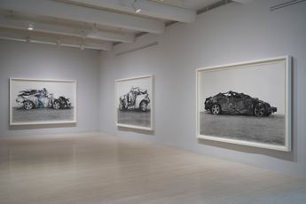 Contemporary art exhibition Richard Learoyd Curious at Pace Gallery 32 East 57th Street New York United States