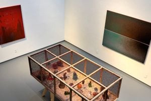John Knuth