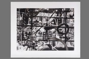 Carsten Holler