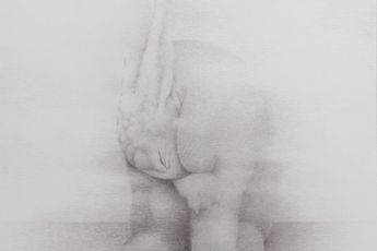 Shao Fan contemporary artist
