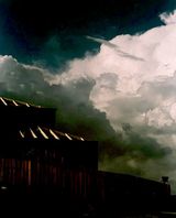 Untitled  by Bill Henson contemporary artwork photography