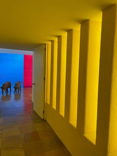 Mexican Architect Luis Barragans Casa Gilardi in CDMX