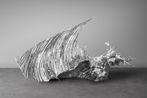 Zheng Lu contemporary artist