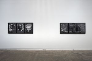 Mark Adams