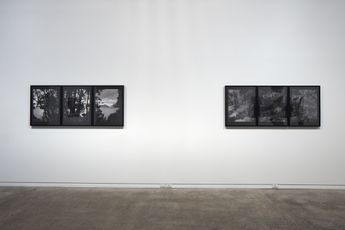 Contemporary art exhibition Mark Adams Views from Astronomers Point at Two Rooms Auckland New Zealand