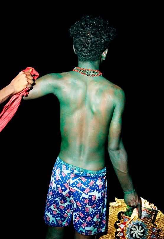 Green Soldier by Vasantha Yogananthan contemporary artwork Painting