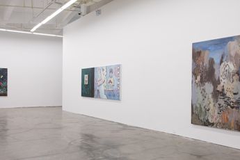 Contemporary art exhibition Ji Lei Trans-landShanshui at A Thousand Plateaus Art Space Chengdu China