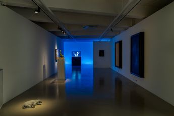 Contemporary art exhibition Group Exhibition The Secret Life at Gallery Baton Seoul South Korea