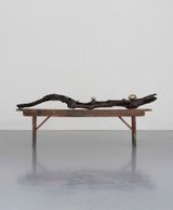 Branch by Dorothy Cross contemporary artwork sculpture