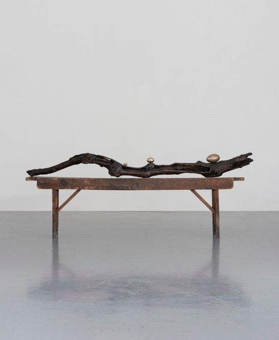 Branch by Dorothy Cross contemporary artwork Sculpture