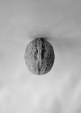 Fall I by Becky Beasley contemporary artwork photography