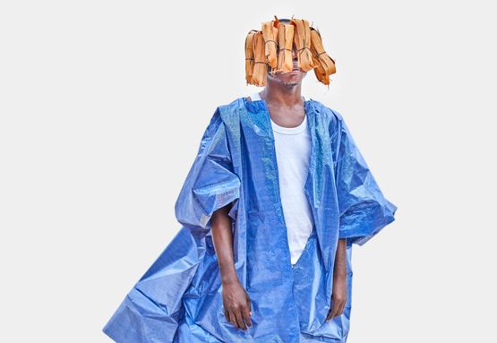 Bio by Ishola Akpo contemporary artwork Works on Paper