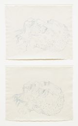 Double Head No. 3 AB by Kiki Smith contemporary artwork drawing works on paper