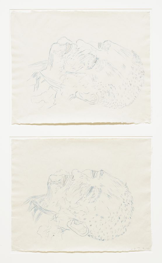 Double Head No. 3 AB by Kiki Smith contemporary artwork Works on Paper