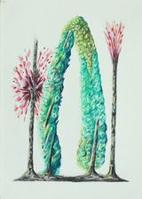 Auffallige Bedeckt- und Nacktsamer 10 by Hartmut Neumann contemporary artwork drawing works on paper