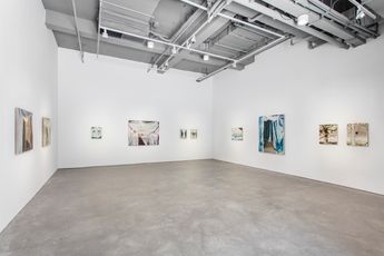 Contemporary art exhibition Han Jiaquan Ornaments at Arario Gallery Shanghai China