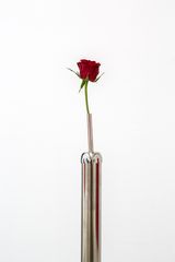 Timeless Symbols Rose by Andrew J. Greene contemporary artwork sculpture