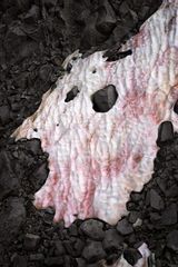 Presena Gletscher Blutschnee 1 by Thomas Wrede contemporary artwork painting