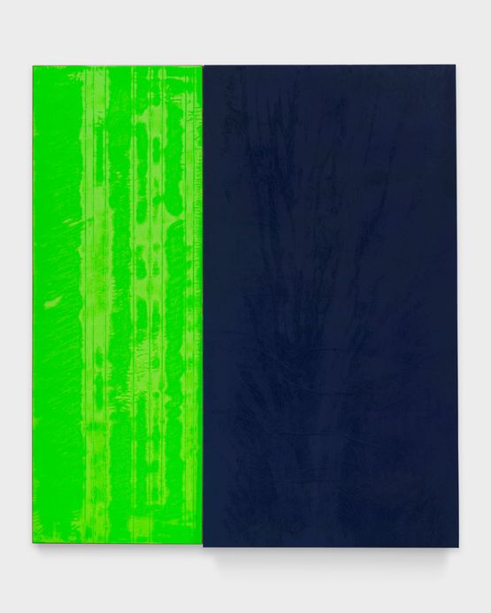 FT_24 by N. Dash contemporary artwork Painting