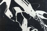 Diamond Dust Shoe 255 by Andy Warhol contemporary artwork print