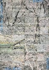 Critical Forest 5 by Imants Tillers contemporary artwork painting