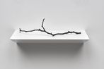 Silva by Katie Paterson contemporary artwork Sculpture