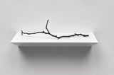 Silva by Katie Paterson contemporary artwork sculpture