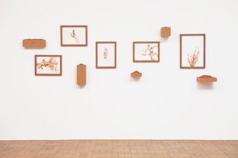 Brigida Baltar contemporary artist