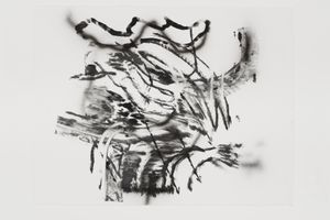 Julie Mehretu