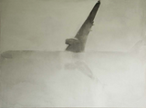 Airplane by Han Feng contemporary artwork painting