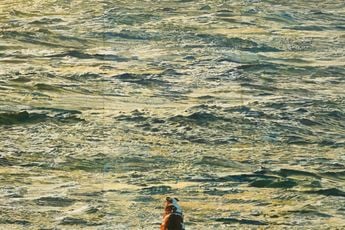 Jason Bereswill contemporary artist