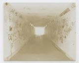 Walkway by Paul Winstanley contemporary artwork painting