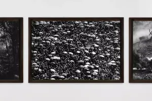 Robert Longo