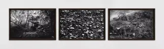 The Weight of Hope War Religion Nature by Robert Longo contemporary artwork Works on Paper