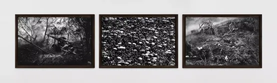 The Weight of Hope War Religion Nature by Robert Longo contemporary artwork Works on Paper