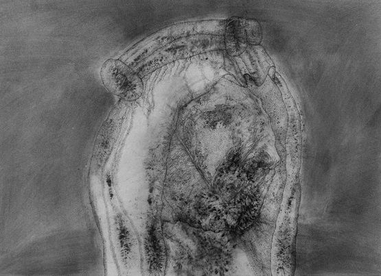 PSF 23 by Faisal Samra contemporary artwork Works on Paper