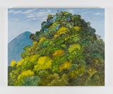 The Kidnap by Mountain by Stephen Wong Chun Hei contemporary artwork painting