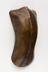 Carapace 6 by Julie Rrap contemporary artwork sculpture