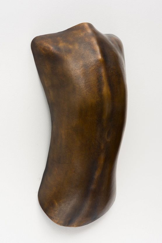 Carapace 6 by Julie Rrap contemporary artwork Sculpture