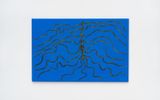 Yamira thothope Bejuco de relampago by Sheroanawe Hakihiiwe contemporary artwork painting