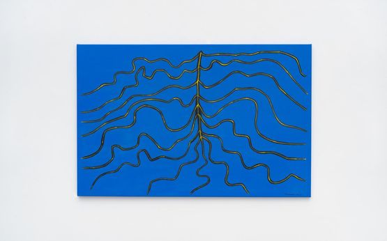 Yamira thothope Bejuco de relampago by Sheroanawe Hakihiiwe contemporary artwork Painting