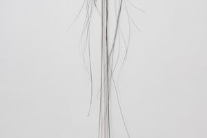 Jac Leirner
