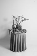 Vanitas Table plant by Hans Op De Beeck contemporary artwork sculpture