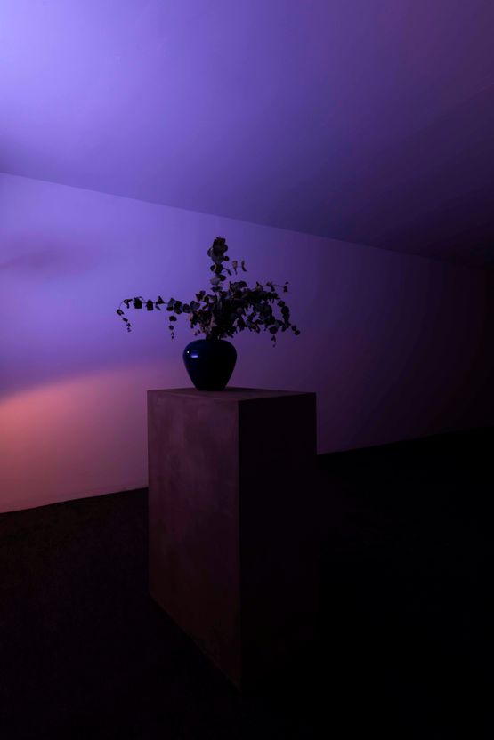 Songs vase by Pedro Gomez-Egana contemporary artwork Sculpture