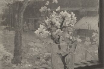 Josef Sudek contemporary artist