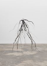 Manfrottos Dream Stump and Subterranean Roots by Josh Callaghan contemporary artwork sculpture works on paper